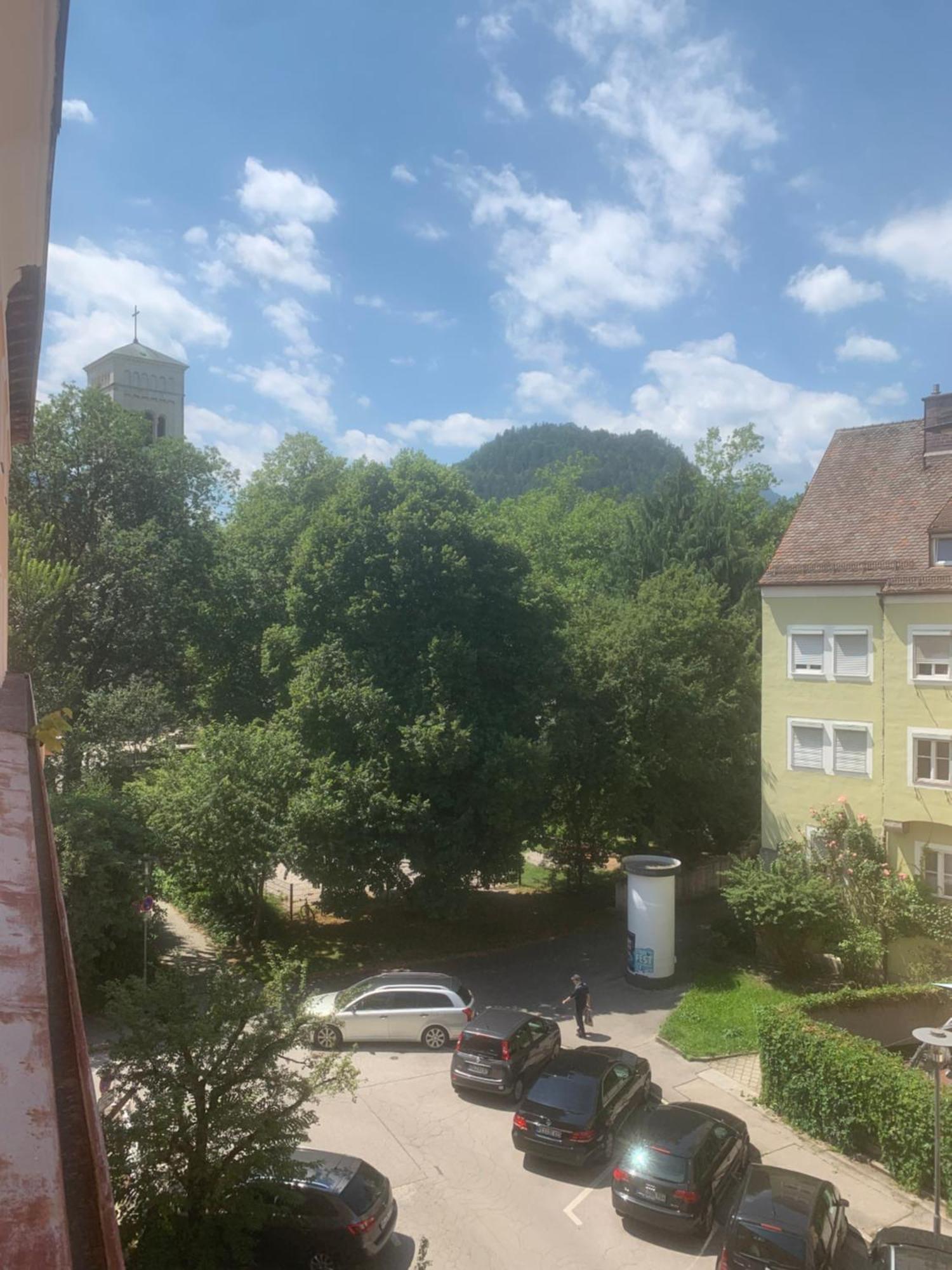 Silberwurz *